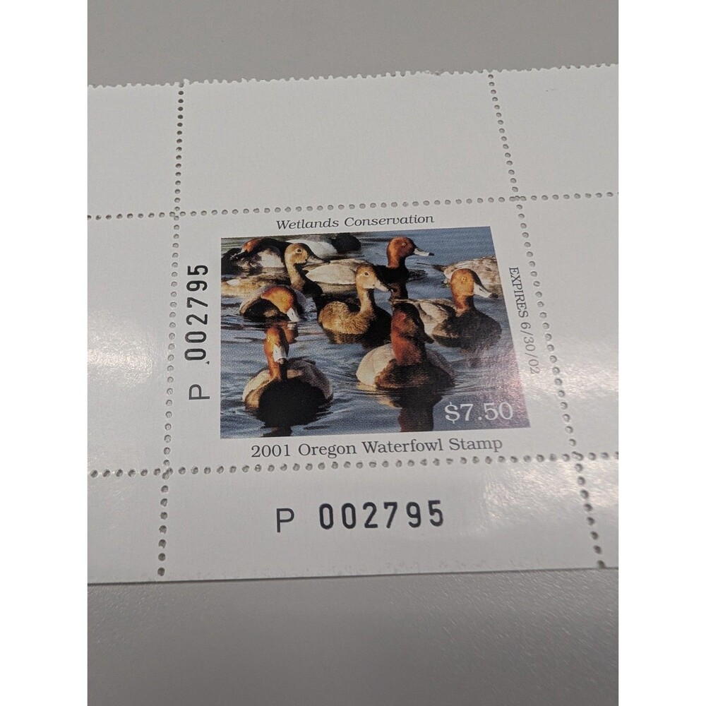 2001 Oregon Waterfowl Stamp Mint Never Hinged Duck stamp collectable